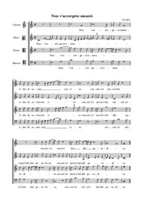 Non v'accorgete amanti