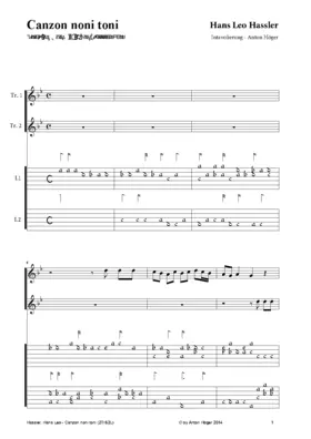 Canzon noni toni