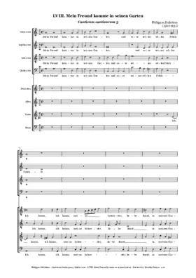 Mein Freund komme in seinen Garten