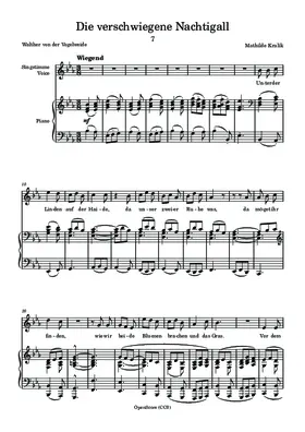 Die verschwiegene Nachtigall