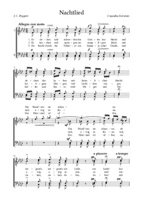 Nachtlied (Es ziehen und schweben)