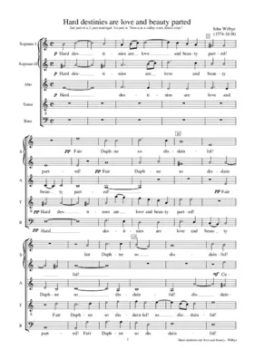 Hard destinies are love and beauty parted