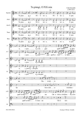 Tu piangi, o Filli mia