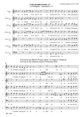 Lieti solcando il mare a 7