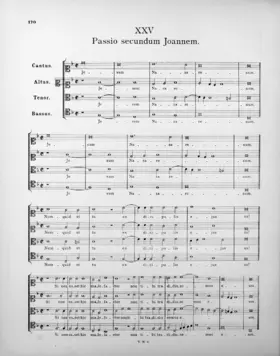 Passio secundum Joannem