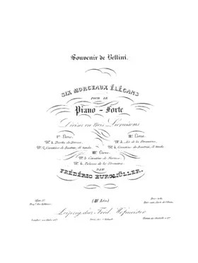 Souvenir de Bellini