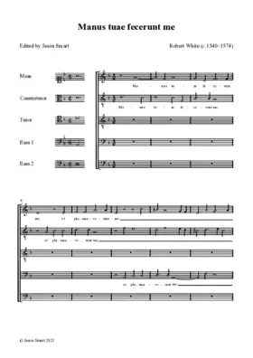 Manus tuae fecerunt me