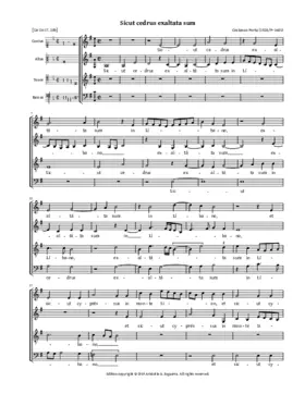 Sicut cedrus exaltata sum