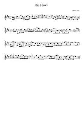 the Hawk