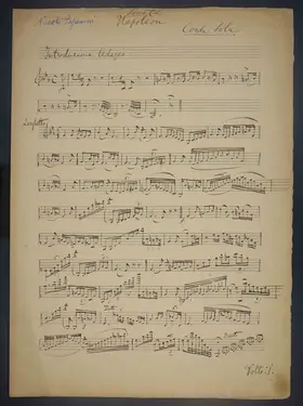 Sonata Napoleone