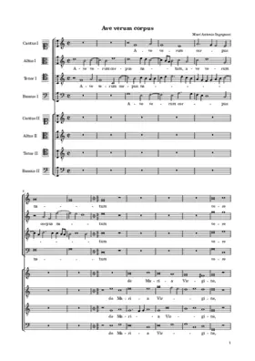 Ave verum corpus