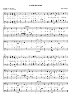 An Axolotl pure and mild