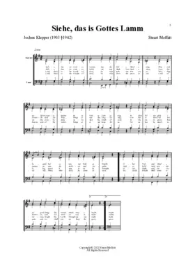 Siehe, das ist Gottes Lamm