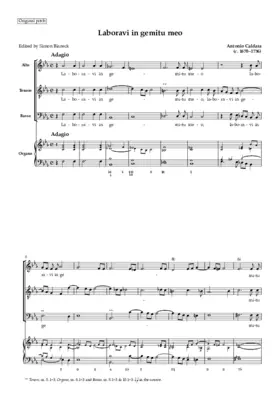 Laboravi in gemitu meo