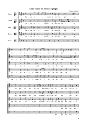 Cara soave ed onorata piaga