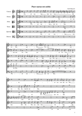 Puer natus est nobis