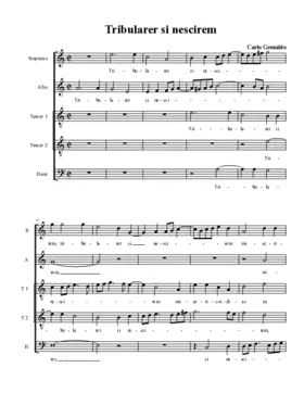 Tribularer si nescirem