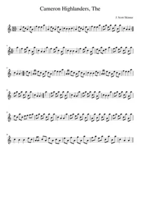 The Cameron Highlanders