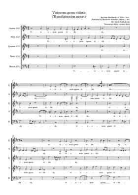 Visionem quam vidistis