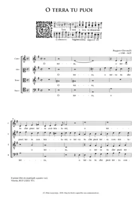 O terra tu puoi