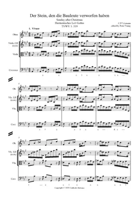 Der Stein, den die Bauleute verworfen haben