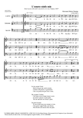 L'amata ninfa mia