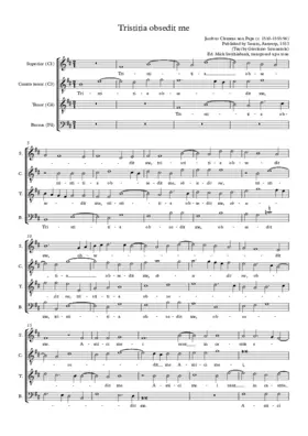 Tristitia obsedit me