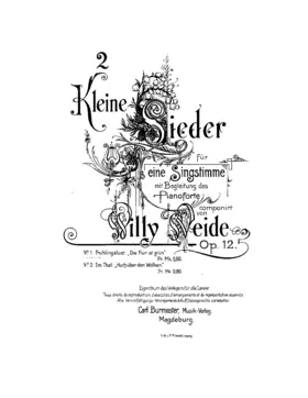 2 Kleine Lieder