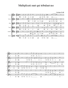 Multiplicati sunt qui tribulant me