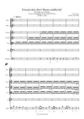 Erwecke dich, Herr, warum schläfst du, TWV 1:482