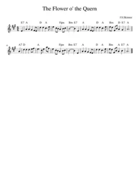 the Flower o' the Quern