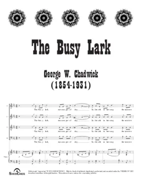 The busy lark