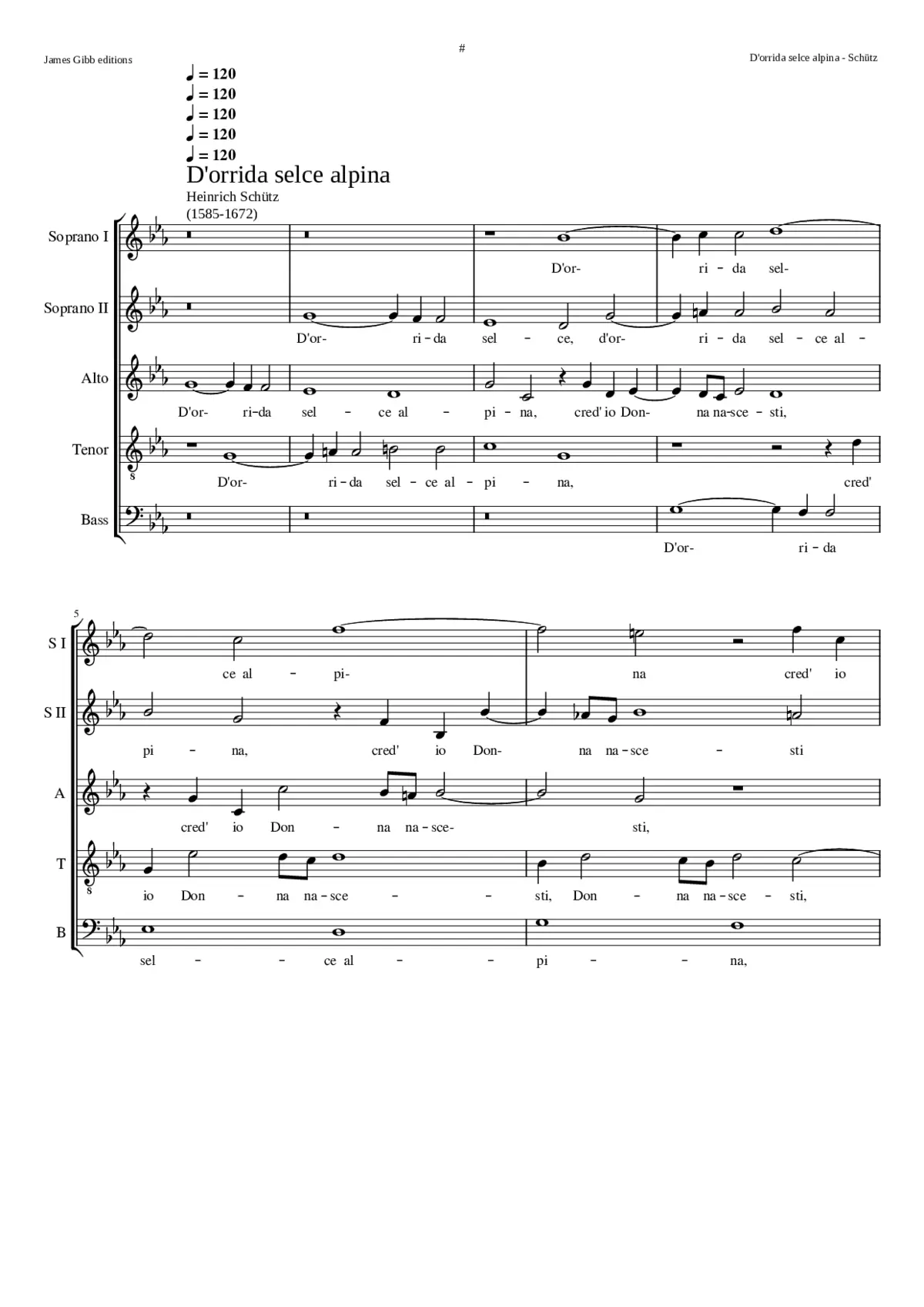 Dorrida selce alpina SWV6 - Page 1