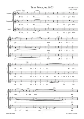 Tu es Petrus, op. 66/23
