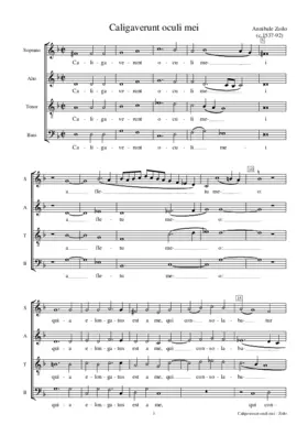 Caligaverunt oculi mei