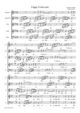 Fuggi o mio core, SWV 8