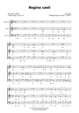 Regina caeli a 3 (anonymous?)