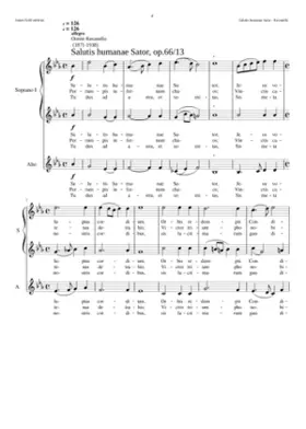 Salutis humanae Sator op.66/13