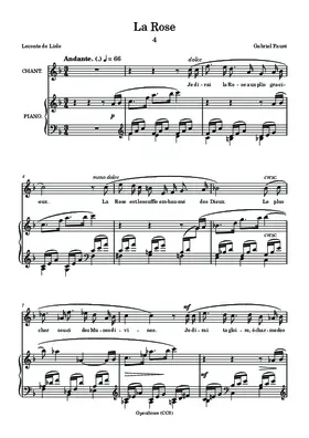 La rose