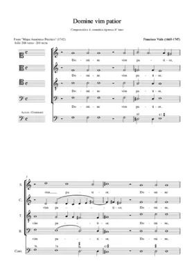 Domine vim patior