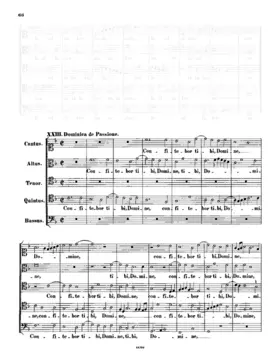 Confitebor tibi Domine