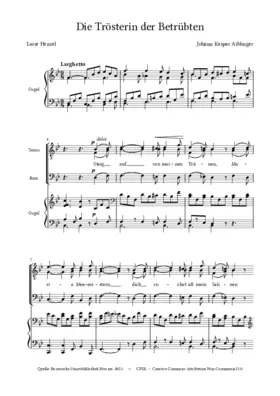 Die Trösterin der Betrübten