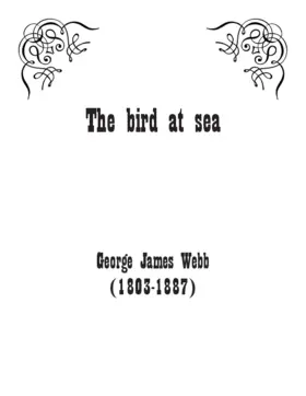 The bird at sea