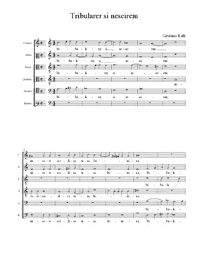 Tribularer si nescirem