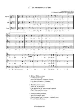 Le rose fronde e fiori