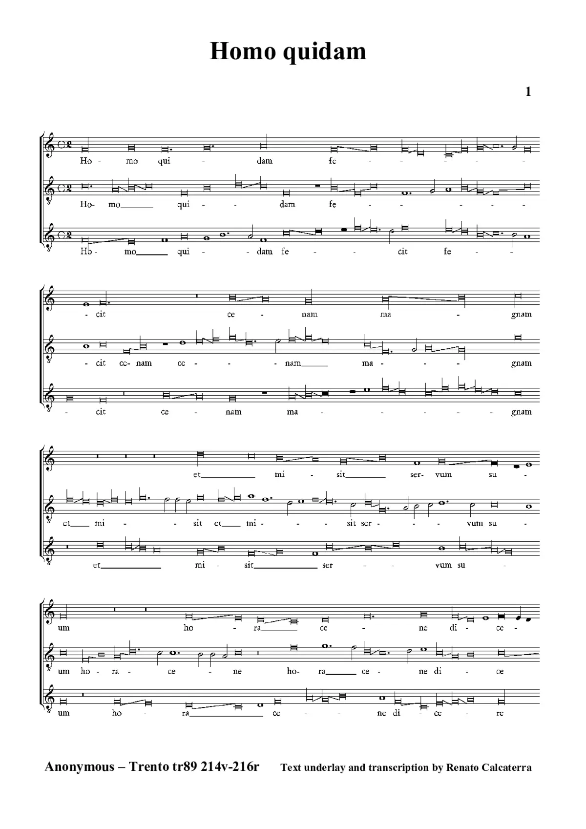 Homo quidam - Page 1