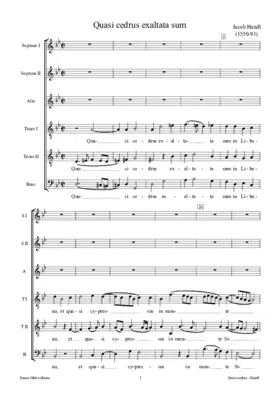 Quasi cedrus exaltata sum