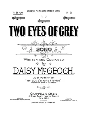 Two Eyes of Grey