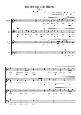 Du bist wie eine Blume, WAB 64