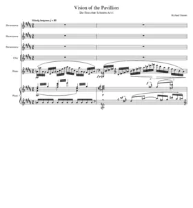 Die Frau ohne Schatten Op.65